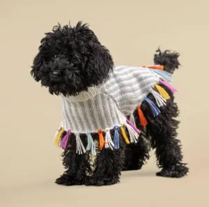 Rainbow Fringe Poncho